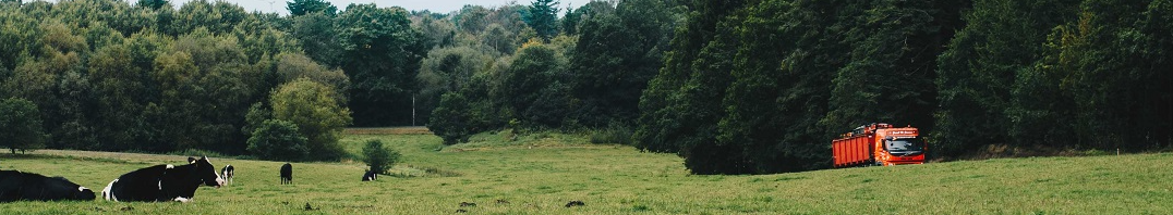 Transport Coordinator til Daka – vil du optimere kapacitet, ruter og omkostninger? 