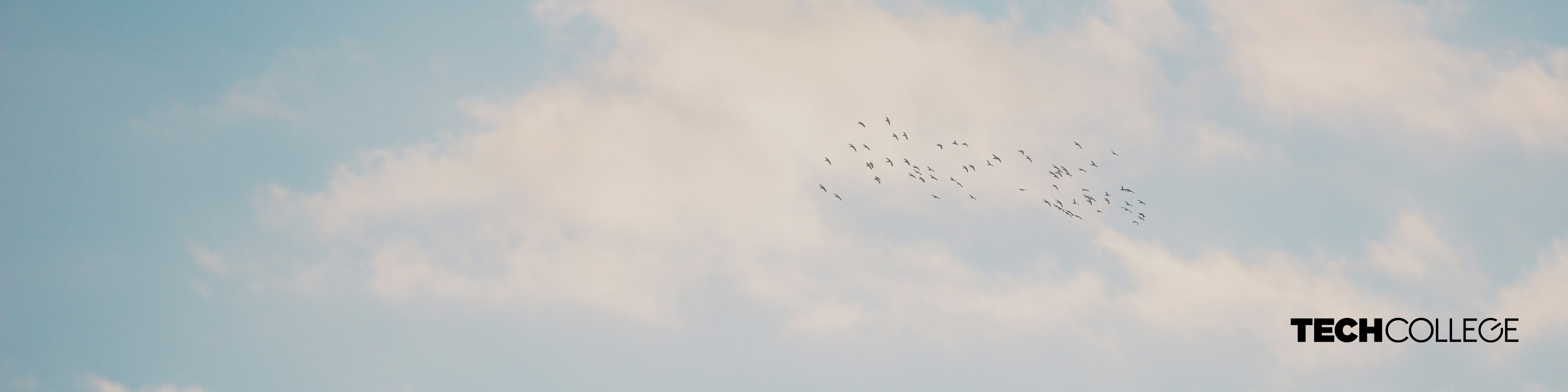Erfaren tekniker til ejendomsdrift
